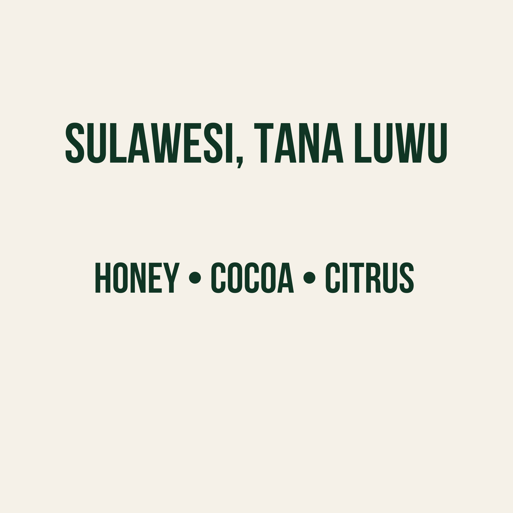 Sulawesi, Indonesia, Washed